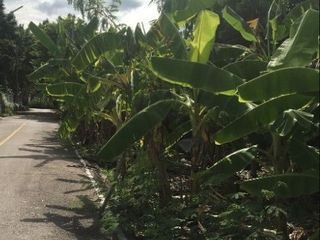 For sale land in Mueang Samut Songkhram, Samut Songkhram