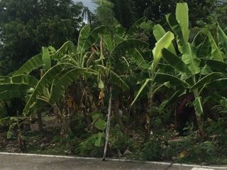 For sale land in Mueang Samut Songkhram, Samut Songkhram
