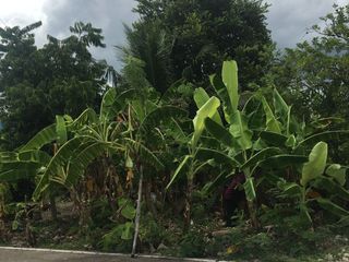 For sale land in Mueang Samut Songkhram, Samut Songkhram