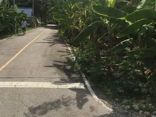For sale land in Mueang Samut Songkhram, Samut Songkhram