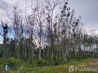 For sale land in Hat Yai, Songkhla