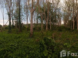 For sale land in Hat Yai, Songkhla