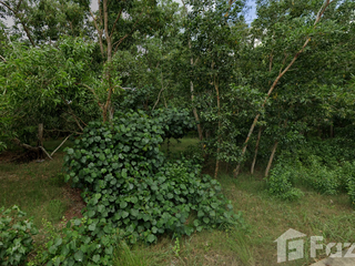 For sale land in Mueang Pattani, Pattani