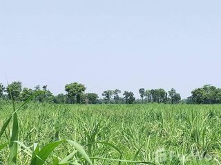 For sale land in Non Sung, Nakhon Ratchasima