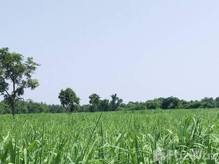 For sale land in Non Sung, Nakhon Ratchasima