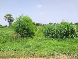 For sale land in Non Sung, Nakhon Ratchasima