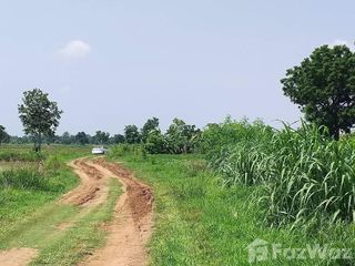 For sale land in Non Sung, Nakhon Ratchasima