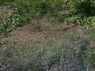 For sale land in Lat Bua Luang, Phra Nakhon Si Ayutthaya