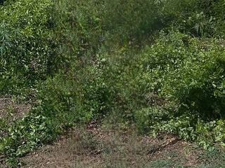 For sale land in Lat Bua Luang, Phra Nakhon Si Ayutthaya
