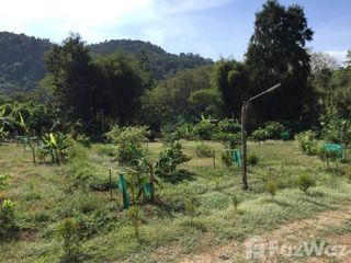 For sale hotel in Thung Chang, Nan