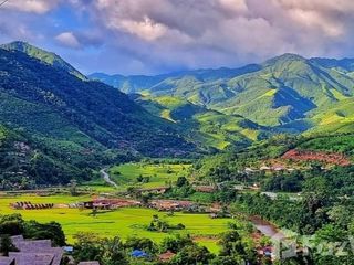 For sale land in Pua, Nan
