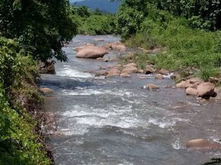 For sale land in Pua, Nan