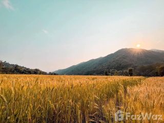 For sale land in Pua, Nan