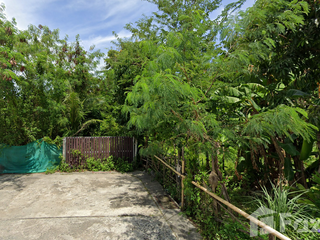 For sale land in Mueang Pattani, Pattani