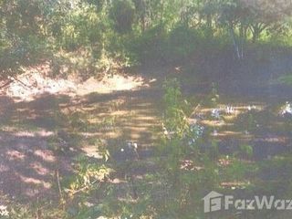 For sale land in Phan, Chiang Rai