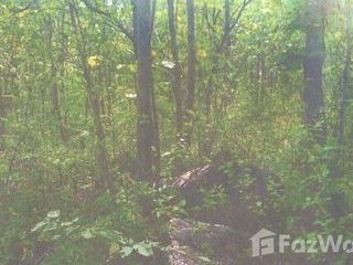 For sale land in Phan, Chiang Rai