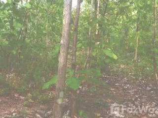 For sale land in Phan, Chiang Rai