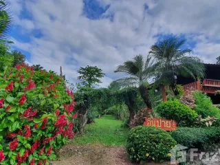 For sale 17 bed hotel in Pai, Mae Hong Son