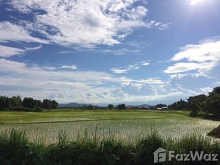 For sale land in Phu Phiang, Nan