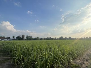 For sale land in Mueang Kamphaeng Phet, Kamphaeng Phet