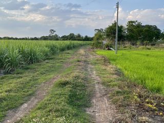 For sale land in Mueang Kamphaeng Phet, Kamphaeng Phet