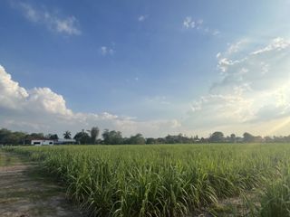 For sale land in Mueang Kamphaeng Phet, Kamphaeng Phet