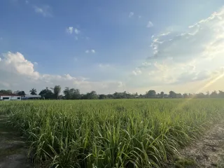 For sale land in Mueang Kamphaeng Phet, Kamphaeng Phet