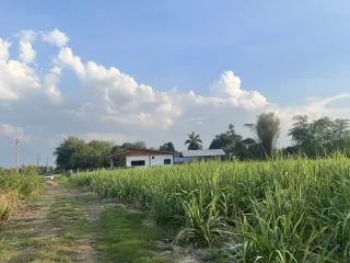 For sale land in Mueang Kamphaeng Phet, Kamphaeng Phet