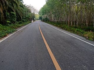 For sale land in Khian Sa, Surat Thani