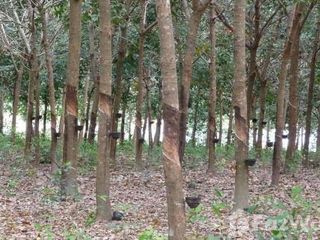For sale land in Khian Sa, Surat Thani