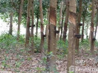 For sale land in Khian Sa, Surat Thani