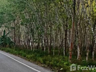 For sale land in Khian Sa, Surat Thani