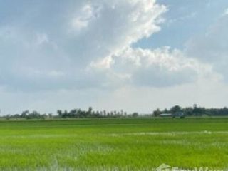 For sale land in Wiset Chai Chan, Ang Thong
