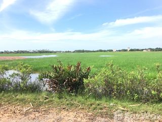 For sale land in Mueang Pattani, Pattani