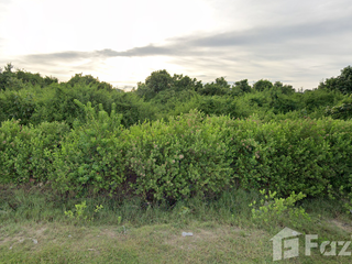 For sale land in Mueang Pattani, Pattani