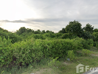 For sale land in Mueang Pattani, Pattani