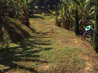 For sale land in Den Chai, Phrae