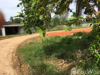 For sale land in Mueang Pattani, Pattani