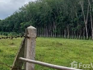 For sale land in Khao Chaison, Phatthalung