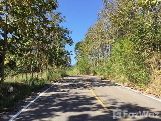 For sale land in Muang Nan, Nan