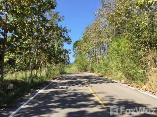 For sale land in Muang Nan, Nan