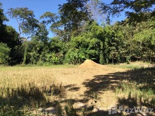 For sale land in Muang Nan, Nan