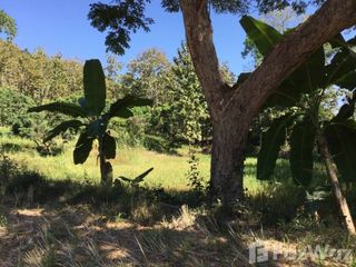 For sale land in Muang Nan, Nan