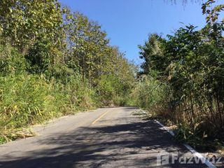 For sale land in Muang Nan, Nan