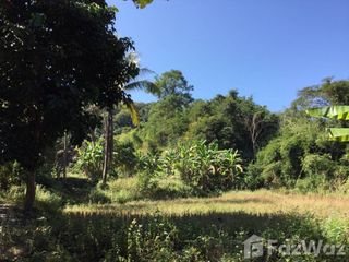 For sale land in Muang Nan, Nan