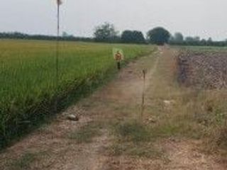 For sale land in Khanu Woralaksaburi, Kamphaeng Phet