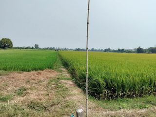 For sale land in Khanu Woralaksaburi, Kamphaeng Phet