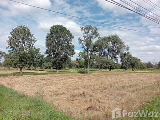 For sale land in Lam Plai Mat, Buriram