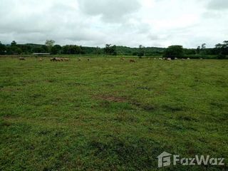 For sale land in Thung Chang, Nan