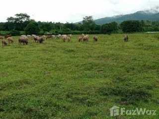 For sale land in Thung Chang, Nan